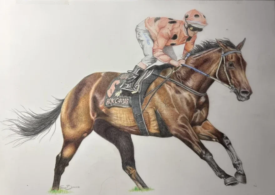 Black Caviar Drawing
