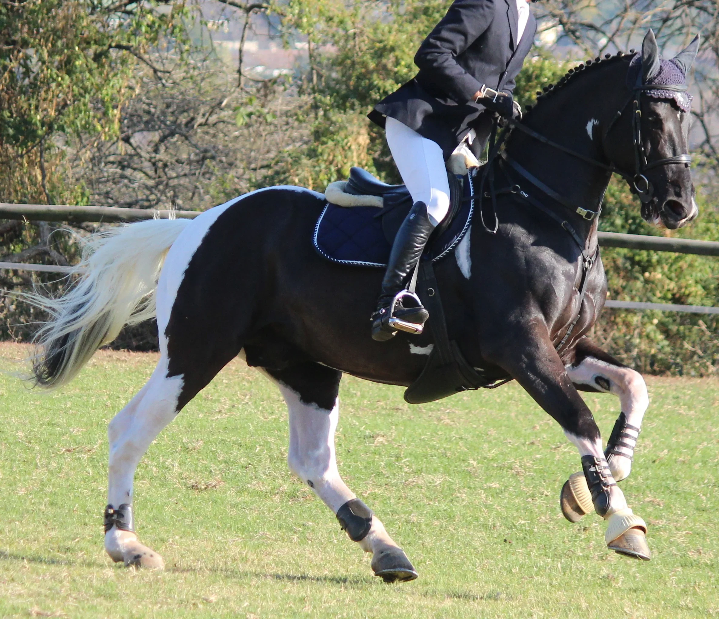 Waldemar at a show