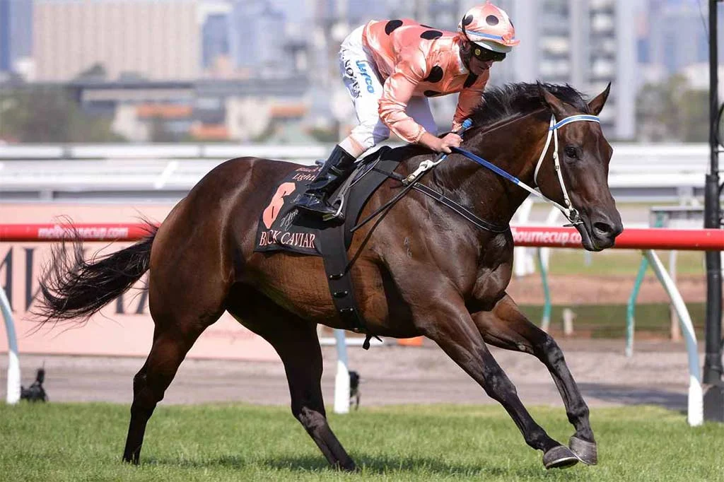 Black Caviar