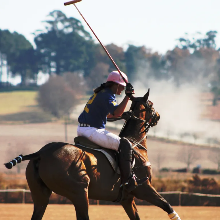 Beyond the Mallet: A Deep Dive into Polo’s Legacy and Lore