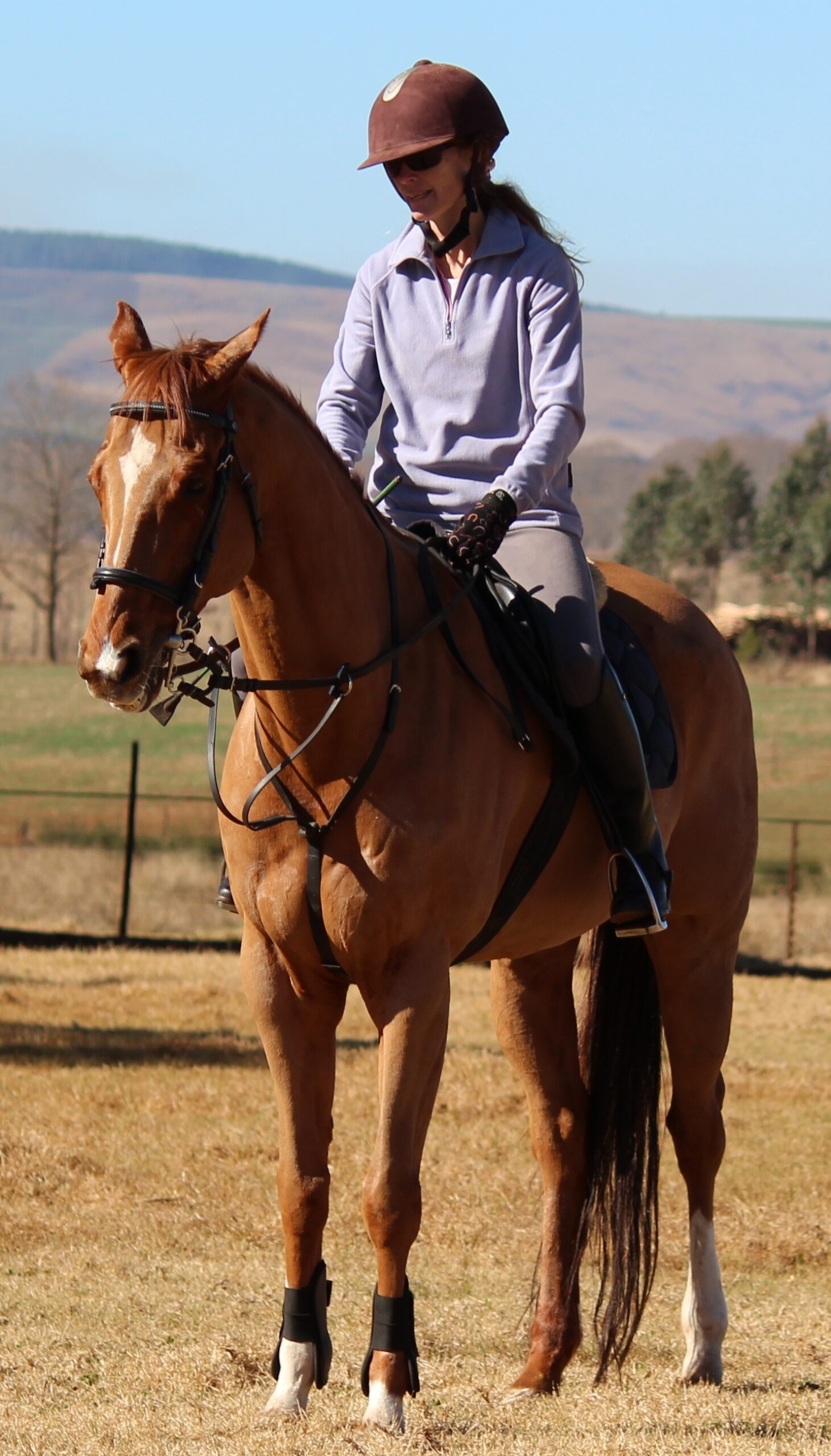 horseback riding
