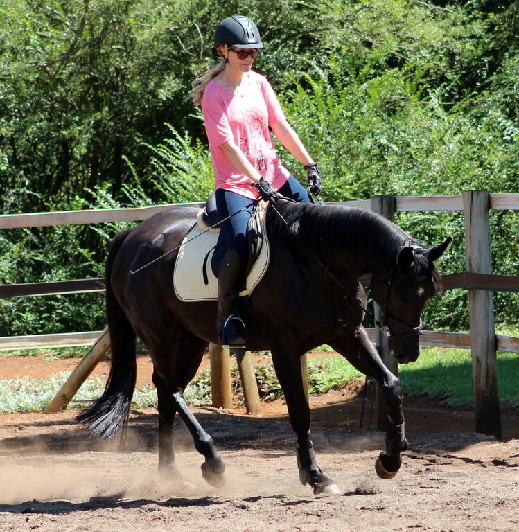 The Benefits of dressage training for horse and rider