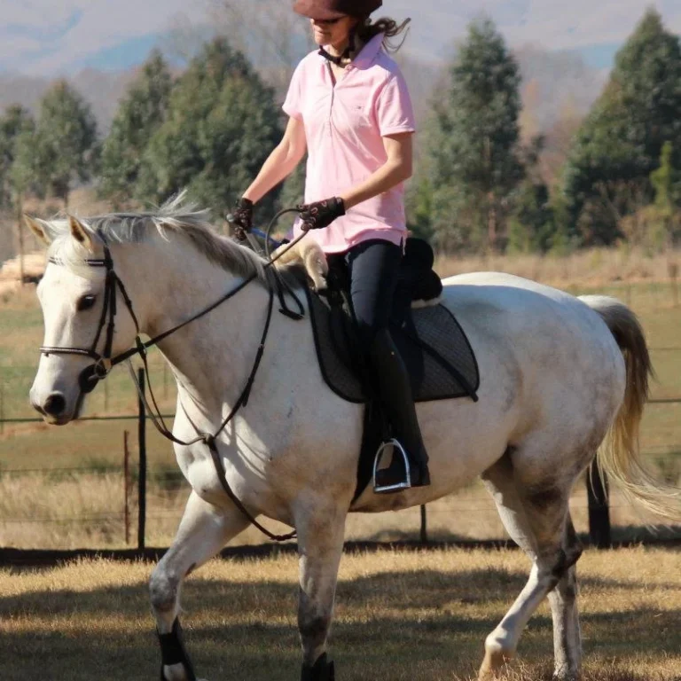 The New Horse Owner’s Essential Care Guide