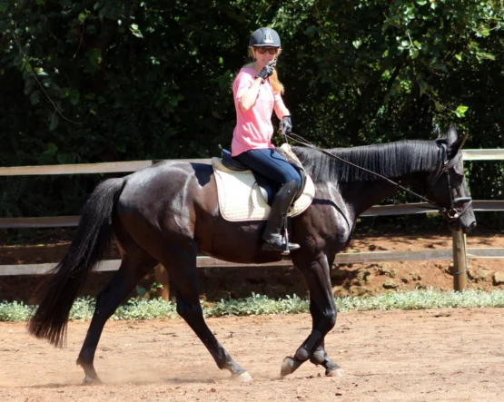 The Benefits of dressage training for horse and rider - 4theloveofhorses