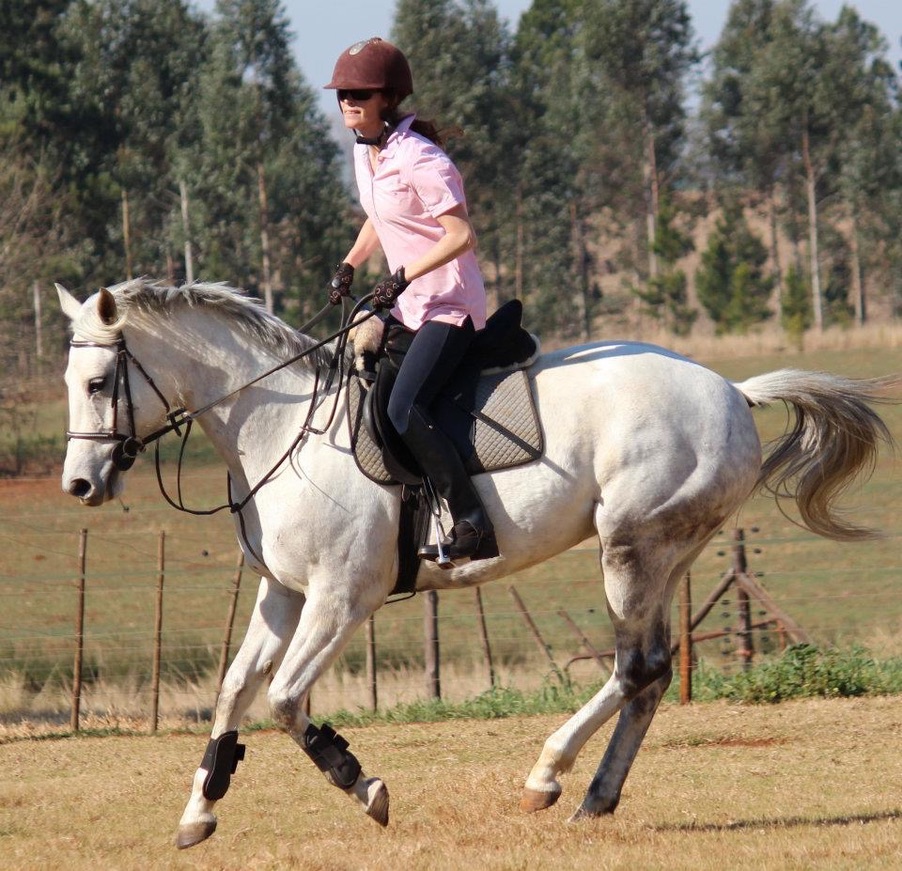 Chipowa under saddle