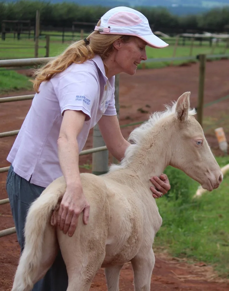 training tips for young foals
