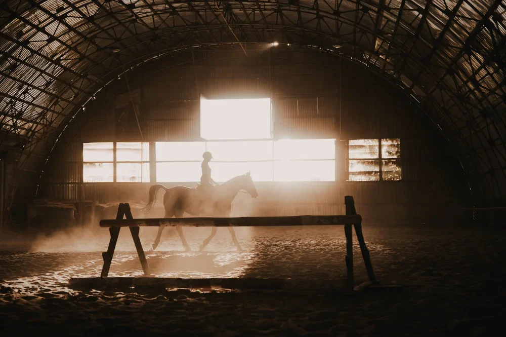 Horse in a dusty arena or stable aisle