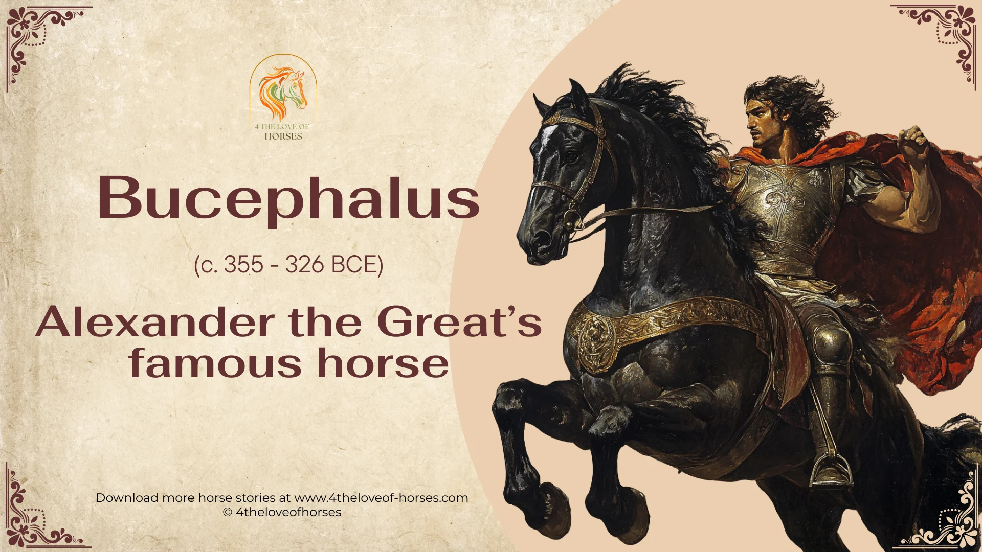 Bucephalus