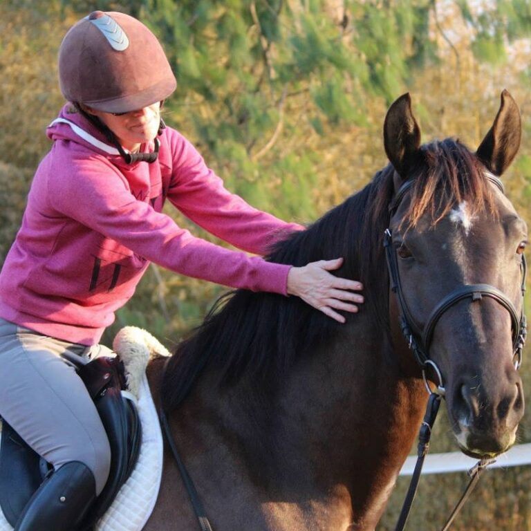 In Tune with Your Horse: Insights into Equine Communication