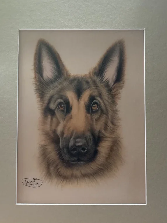 German Shepherd Drawing