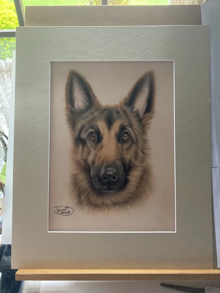 German Shepherd Drawing