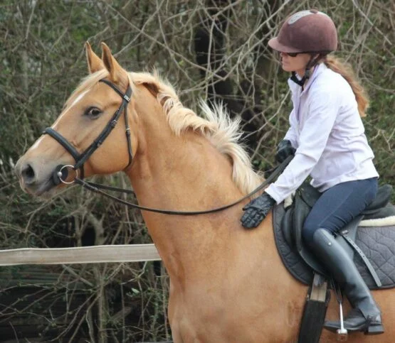 Jenni B — 4 The Love of Horses