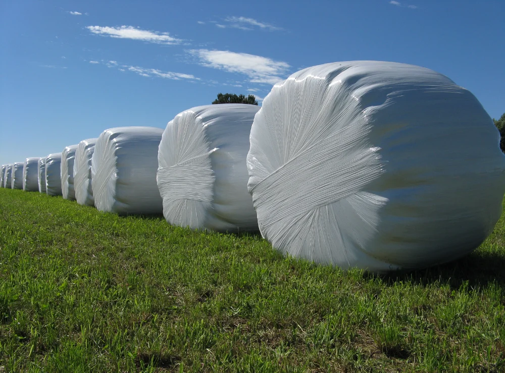 Haylage