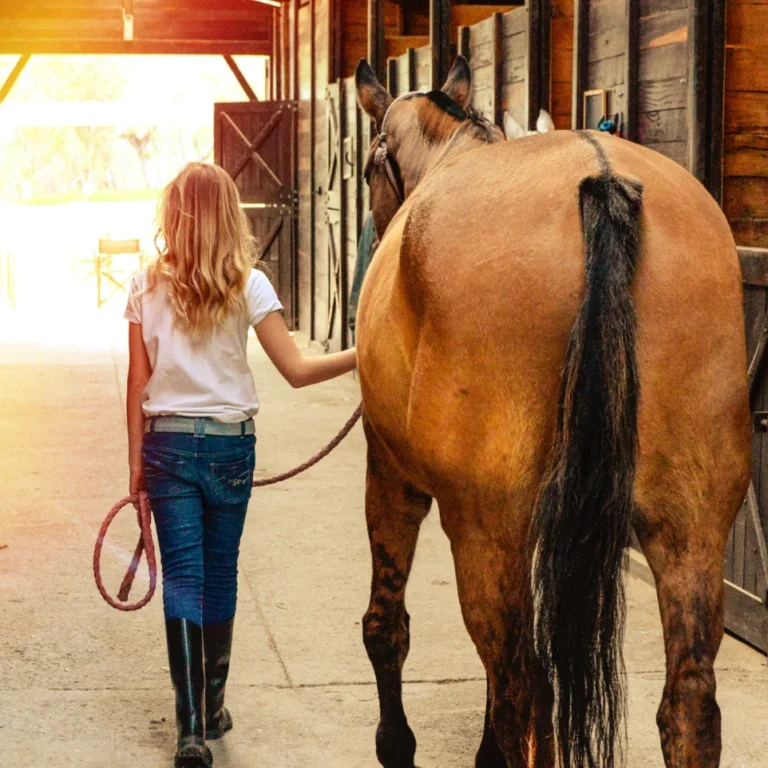 Young horse owner leading horse