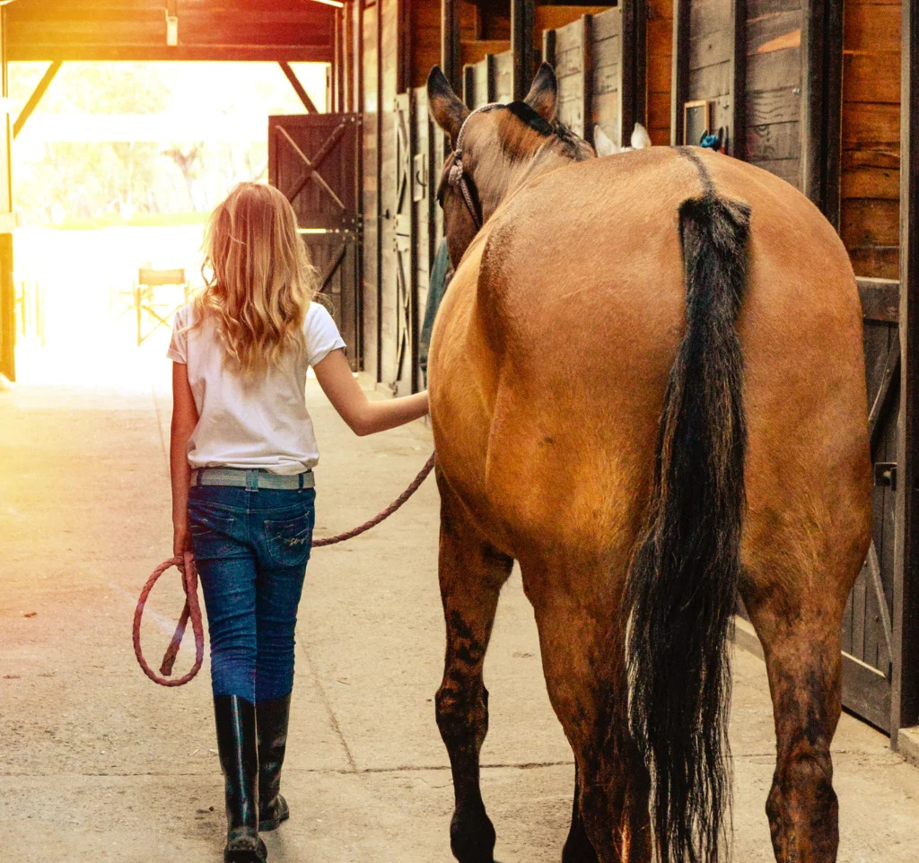 Young horse owner leading horse