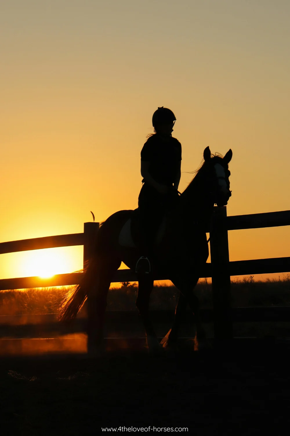 Rider exercising horse in early morning to avoid midday heat