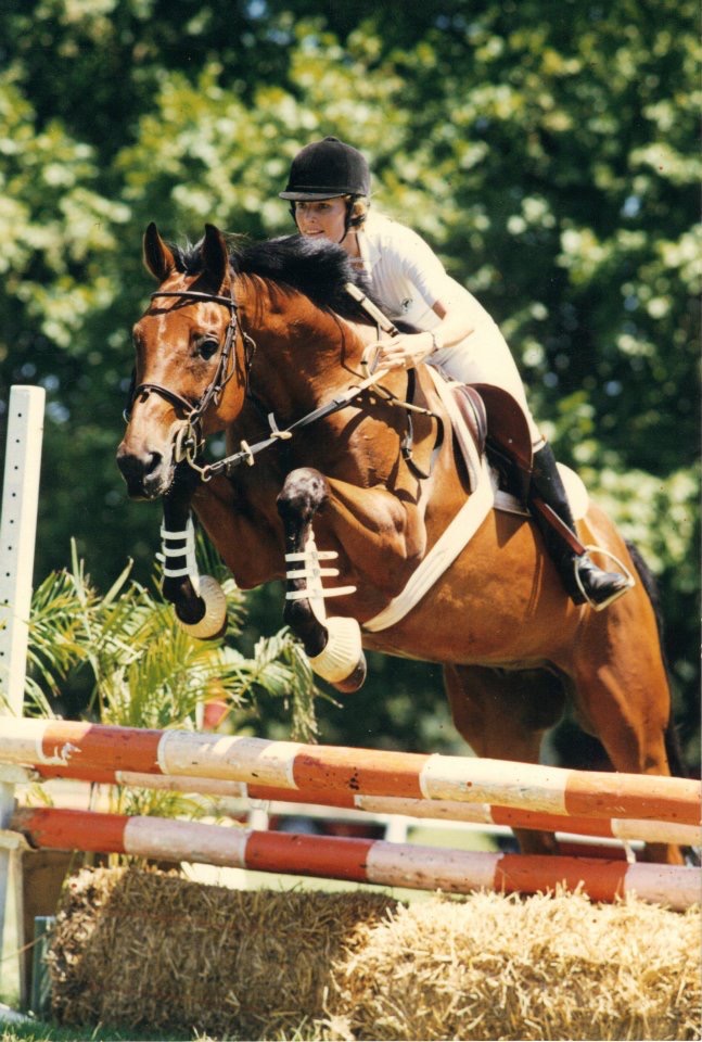 Sacred Pool, OTTB in his second career of showjumping.