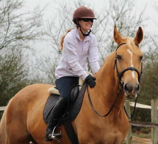Young horse being long-lined during groundwork training