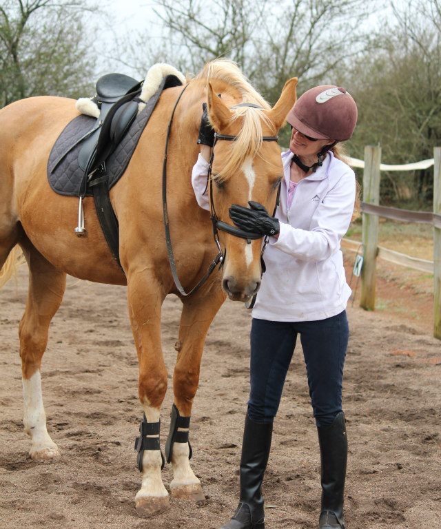 The Trusting Bond: Why Horses Allow Us to Ride Them