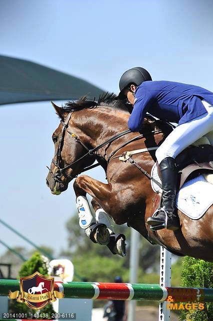 The Ultimate Guide to Showjumping: Everything You Need to Know