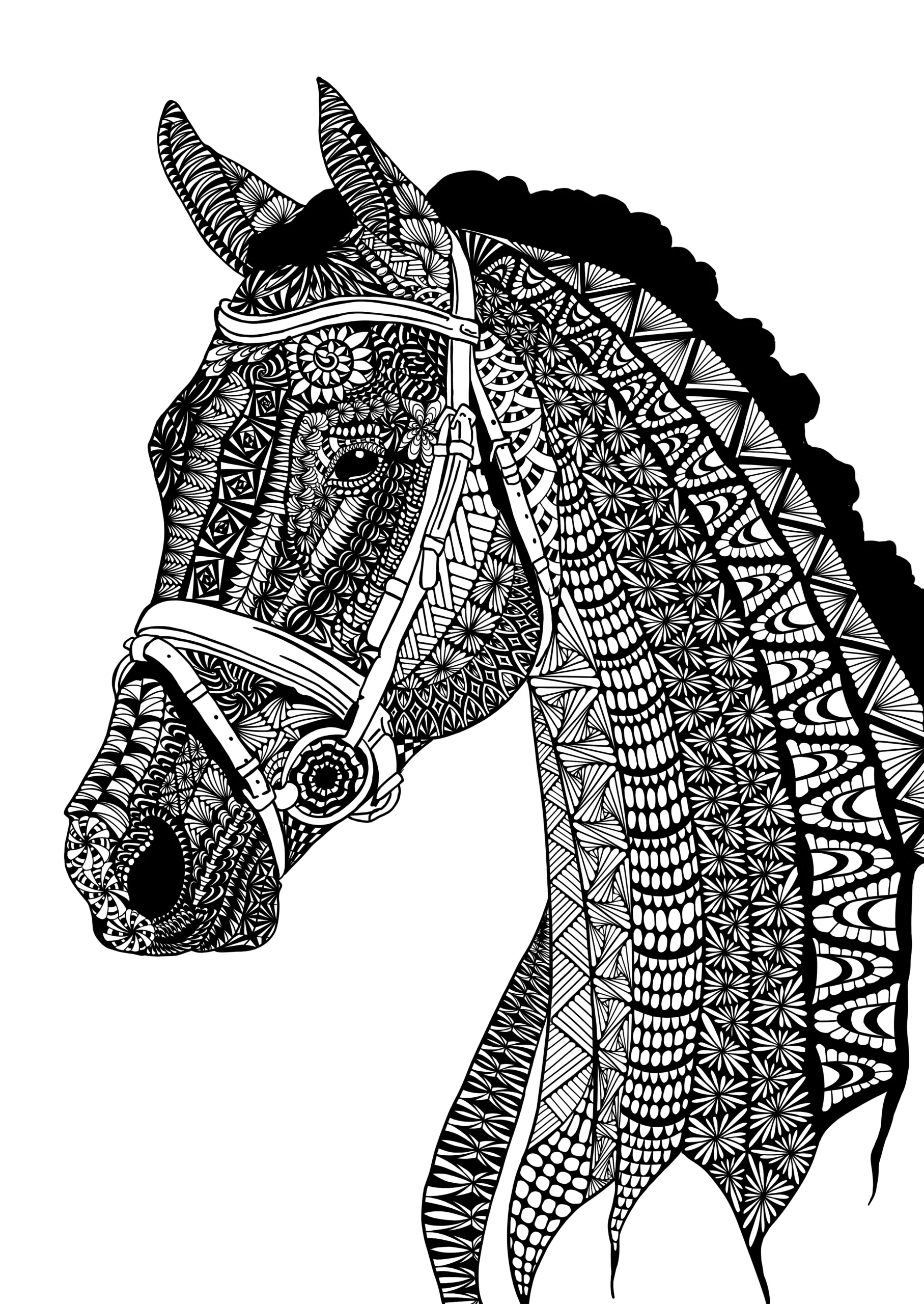 Zentangle Coloring Pages