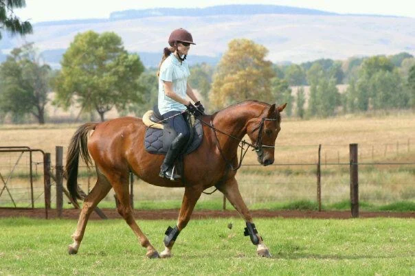 Jenni B riding a young horse