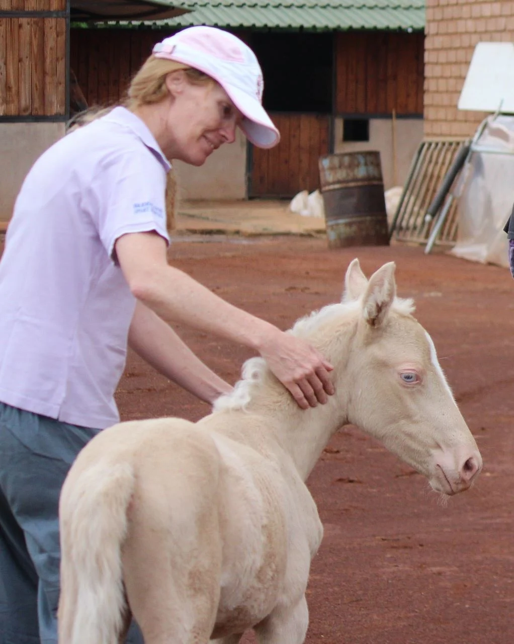 Mare and foal