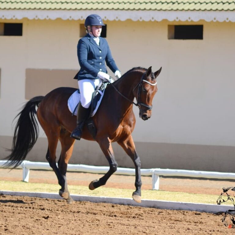 Mastering Your Dressage Test: Tips and Tricks for a Winning Ride