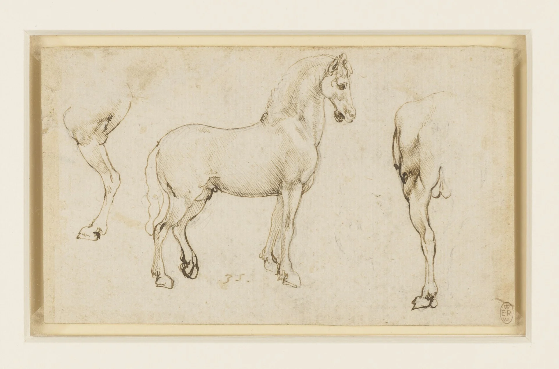 Leonardo da Vinci — Studies of Horses, c.1478–80