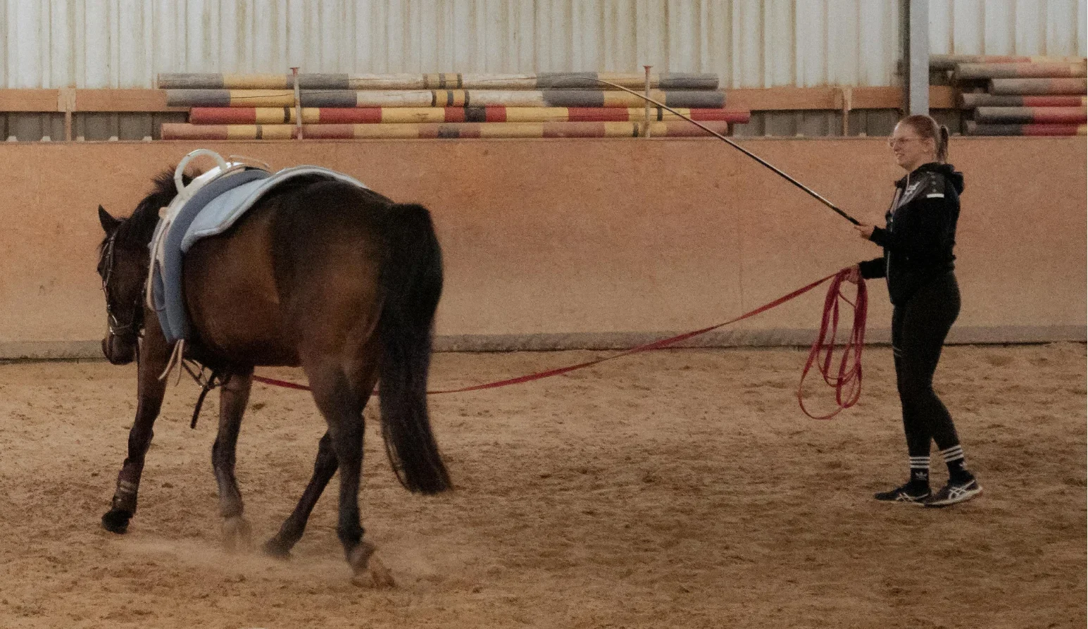 Handler lunging a horse in the triangle position, lunge line in the leading hand and whip pointing towards the hocks