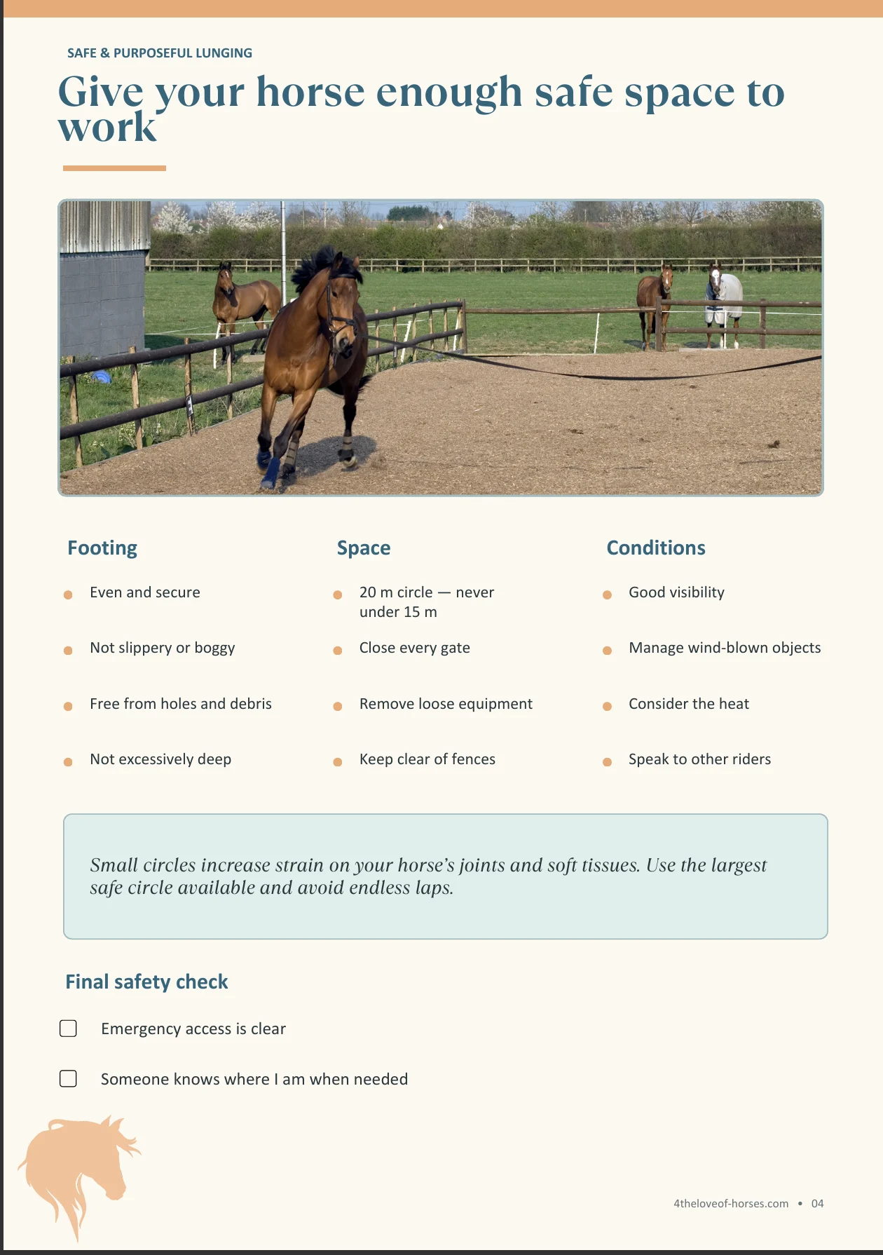15-minute lunging session plan with notes page
