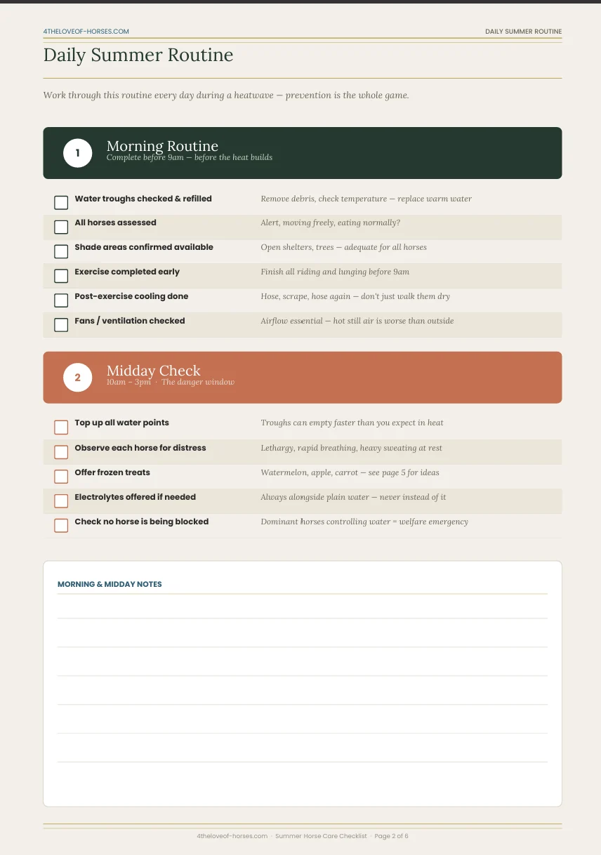 Daily Routine Checklist