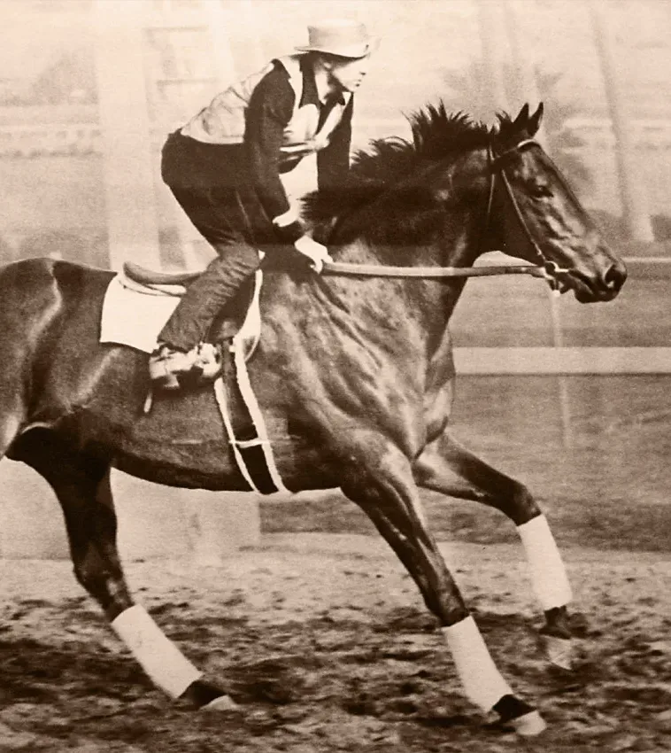 Seabiscuit