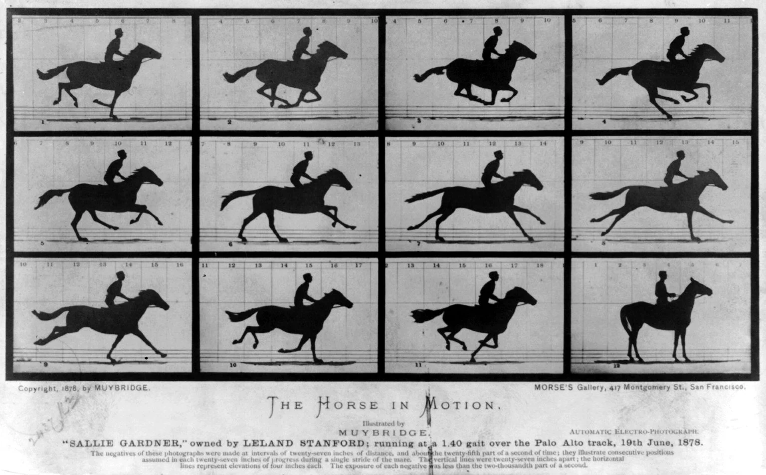 Eadweard Muybridge — The Horse in Motion, 1878
