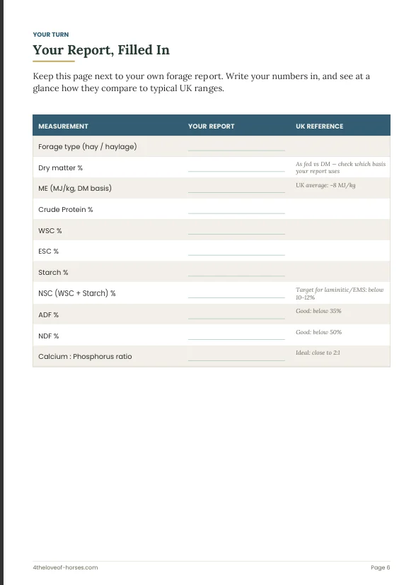 Worksheet sugar and starch page preview