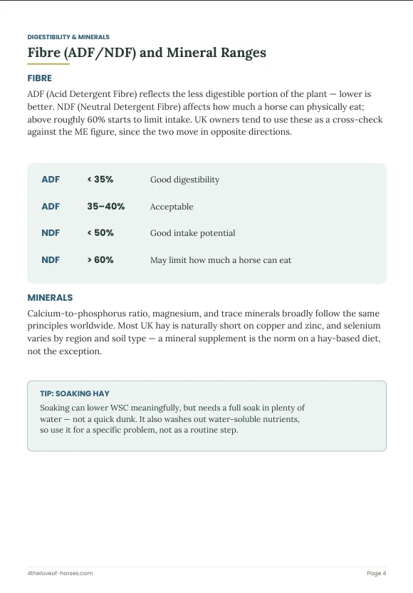 Worksheet fill-in table preview