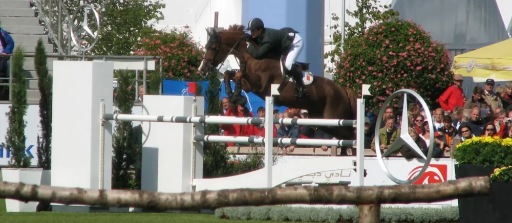 Show jumping at WEG