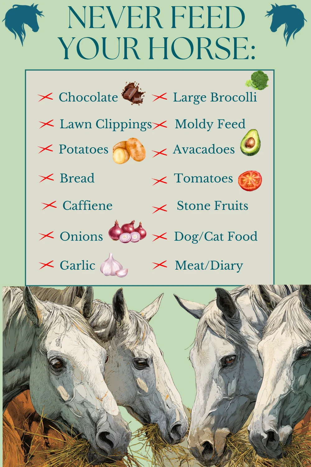 Pin: What Not to Feed Your Horse