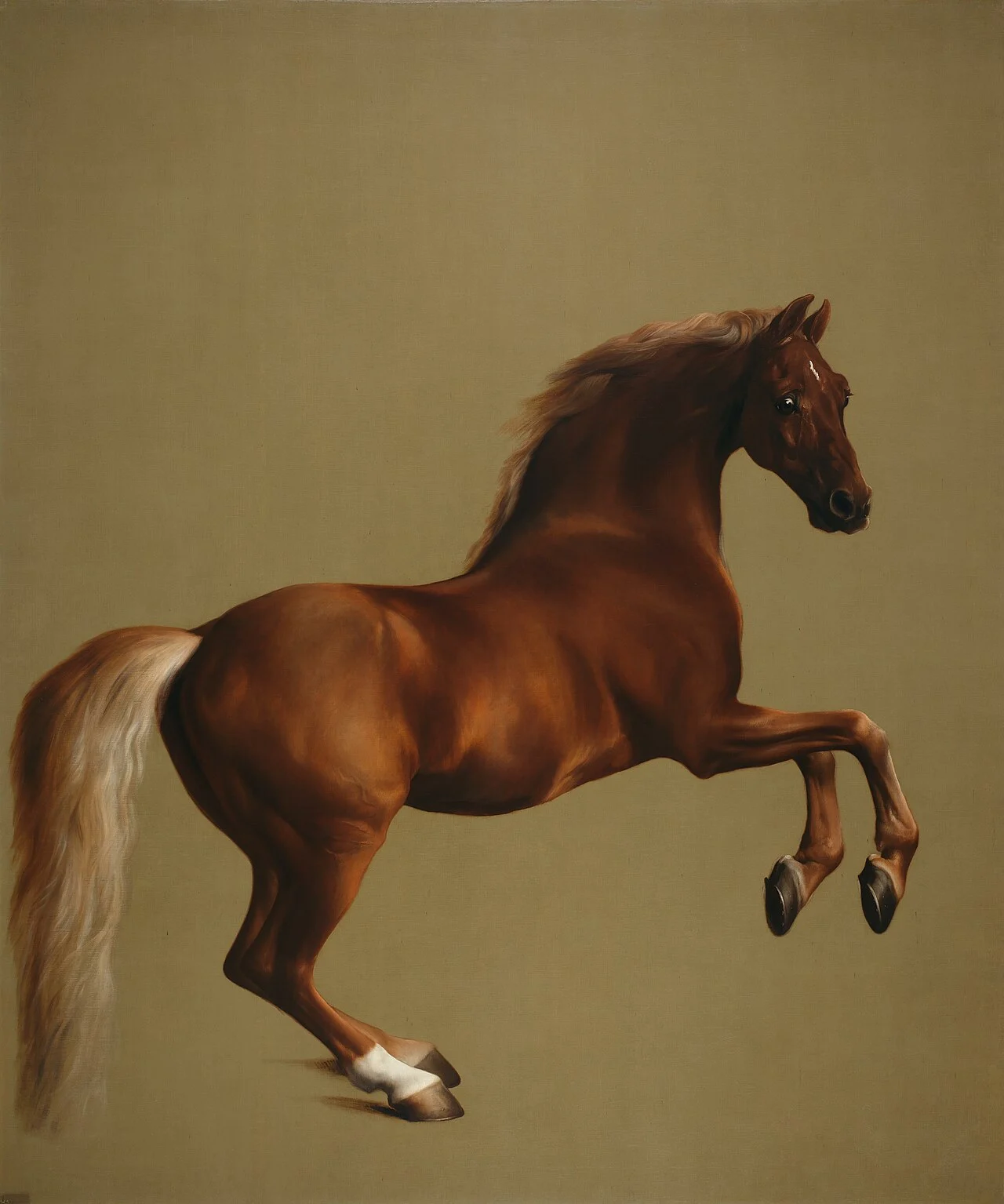 George Stubbs — Whistlejacket, c.1762
