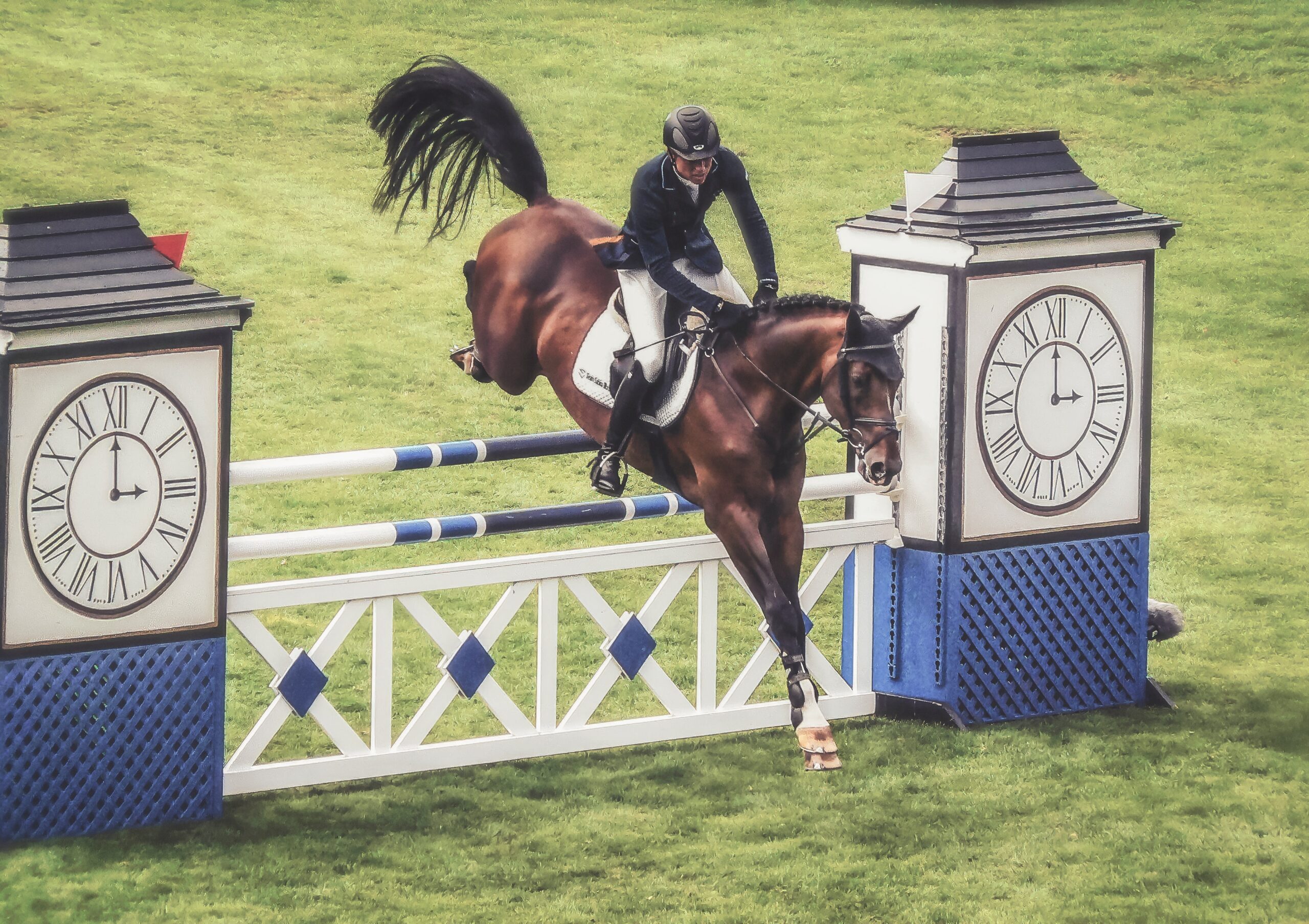 Showjumping
